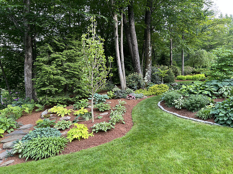 Landscape Maintenance