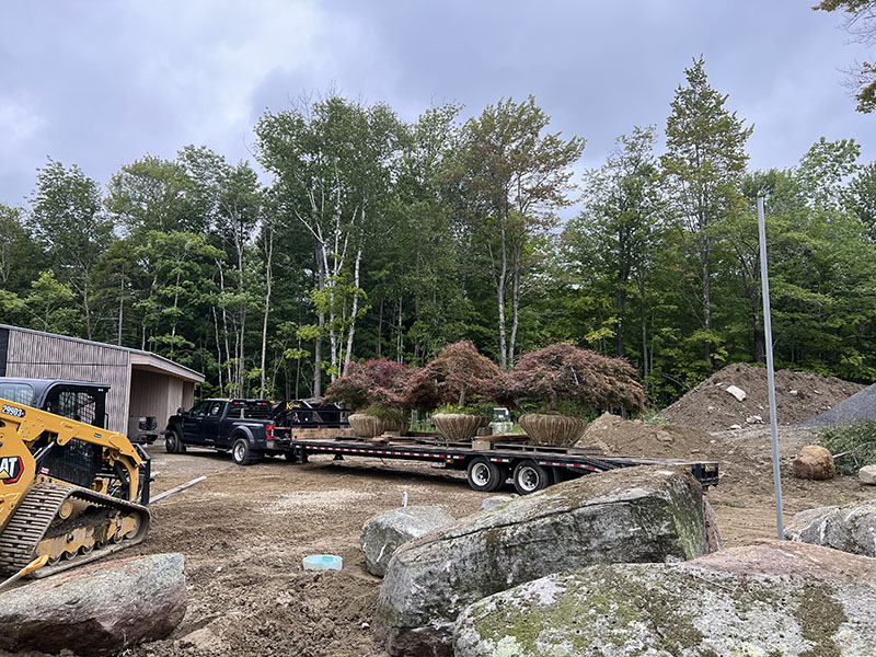 Tree Installation